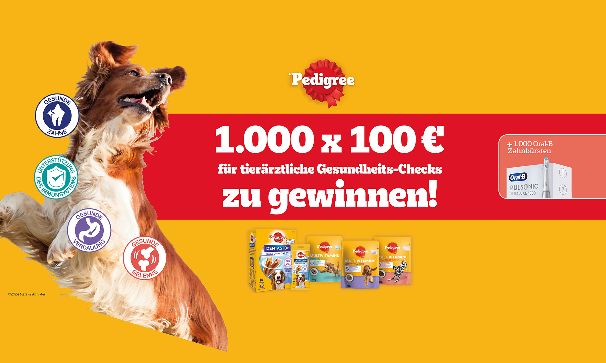 Dein Pfötchen Club: Pfötchen sammeln & Prämien entdecken!